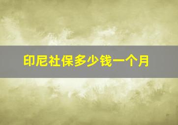 印尼社保多少钱一个月