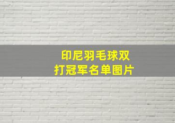 印尼羽毛球双打冠军名单图片