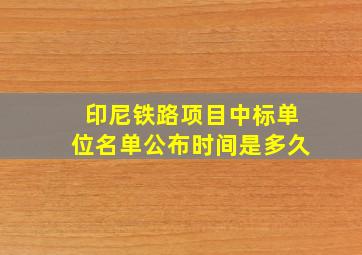 印尼铁路项目中标单位名单公布时间是多久