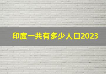 印度一共有多少人口2023