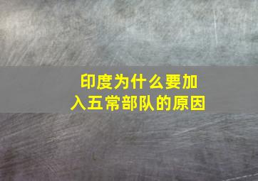 印度为什么要加入五常部队的原因