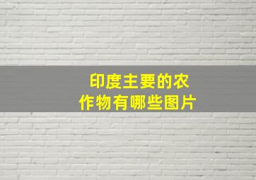 印度主要的农作物有哪些图片