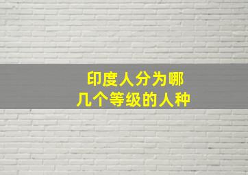 印度人分为哪几个等级的人种