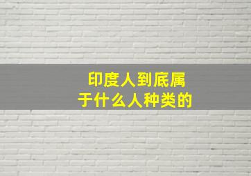 印度人到底属于什么人种类的