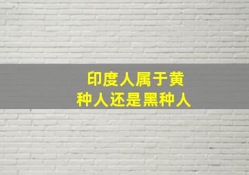 印度人属于黄种人还是黑种人