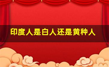 印度人是白人还是黄种人