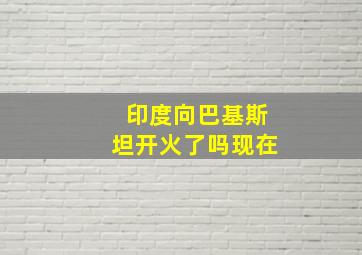 印度向巴基斯坦开火了吗现在