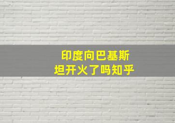 印度向巴基斯坦开火了吗知乎