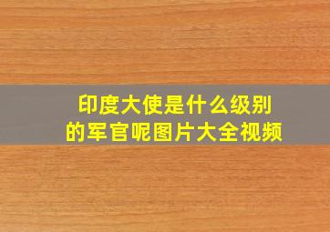 印度大使是什么级别的军官呢图片大全视频