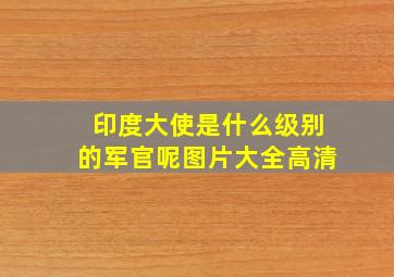 印度大使是什么级别的军官呢图片大全高清