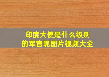 印度大使是什么级别的军官呢图片视频大全