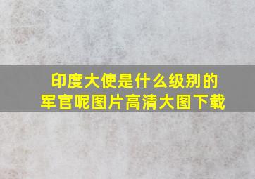 印度大使是什么级别的军官呢图片高清大图下载