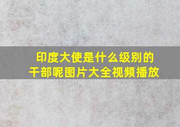 印度大使是什么级别的干部呢图片大全视频播放