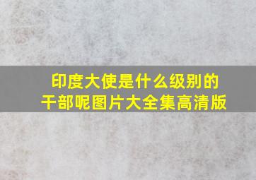 印度大使是什么级别的干部呢图片大全集高清版