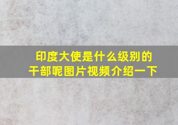 印度大使是什么级别的干部呢图片视频介绍一下