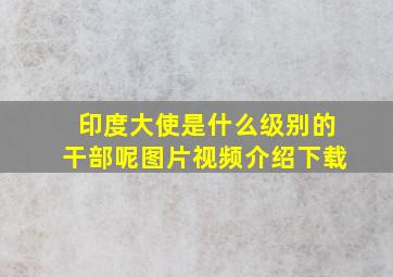 印度大使是什么级别的干部呢图片视频介绍下载