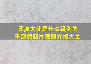 印度大使是什么级别的干部呢图片视频介绍大全