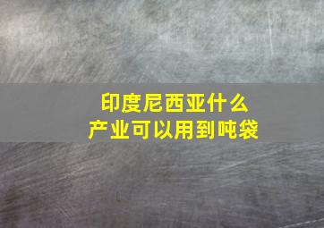 印度尼西亚什么产业可以用到吨袋