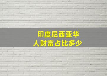 印度尼西亚华人财富占比多少