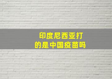 印度尼西亚打的是中国疫苗吗