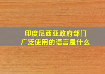 印度尼西亚政府部门广泛使用的语言是什么