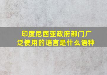 印度尼西亚政府部门广泛使用的语言是什么语种