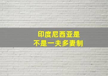 印度尼西亚是不是一夫多妻制