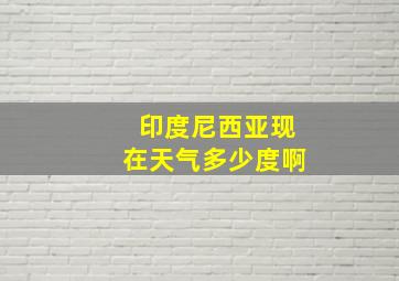 印度尼西亚现在天气多少度啊