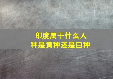 印度属于什么人种是黄种还是白种