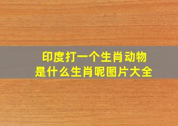 印度打一个生肖动物是什么生肖呢图片大全