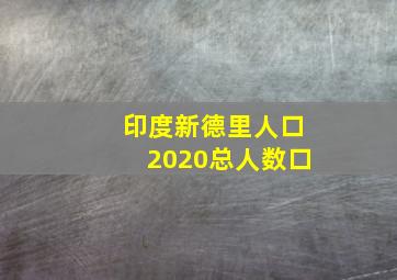 印度新德里人口2020总人数口