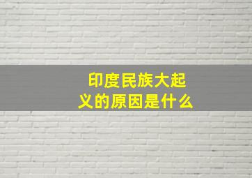 印度民族大起义的原因是什么