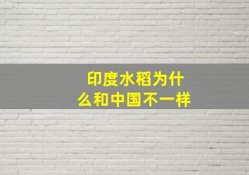 印度水稻为什么和中国不一样