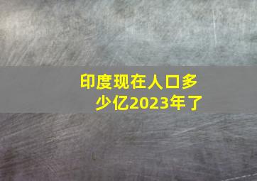 印度现在人口多少亿2023年了