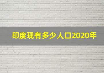 印度现有多少人口2020年