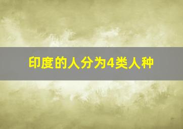 印度的人分为4类人种