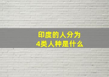 印度的人分为4类人种是什么