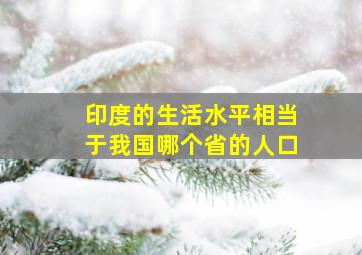 印度的生活水平相当于我国哪个省的人口