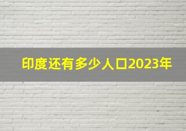 印度还有多少人口2023年