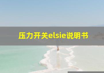 压力开关elsie说明书