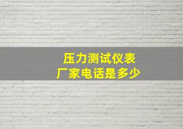 压力测试仪表厂家电话是多少