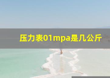 压力表01mpa是几公斤