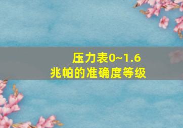 压力表0~1.6兆帕的准确度等级