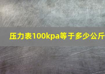 压力表100kpa等于多少公斤