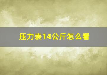 压力表14公斤怎么看