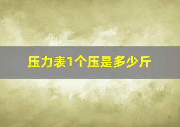 压力表1个压是多少斤