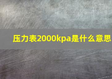 压力表2000kpa是什么意思