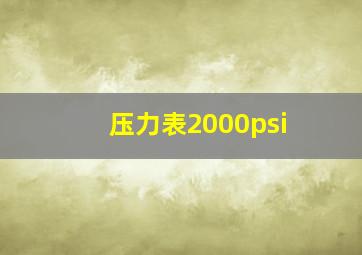 压力表2000psi