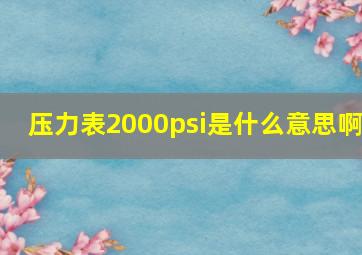 压力表2000psi是什么意思啊