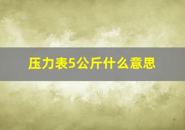 压力表5公斤什么意思